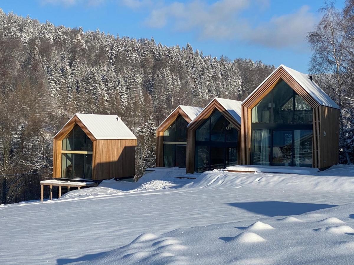 Domki Pod Lasem - Domek Brzozowy Строне-Шльонське Екстер'єр фото