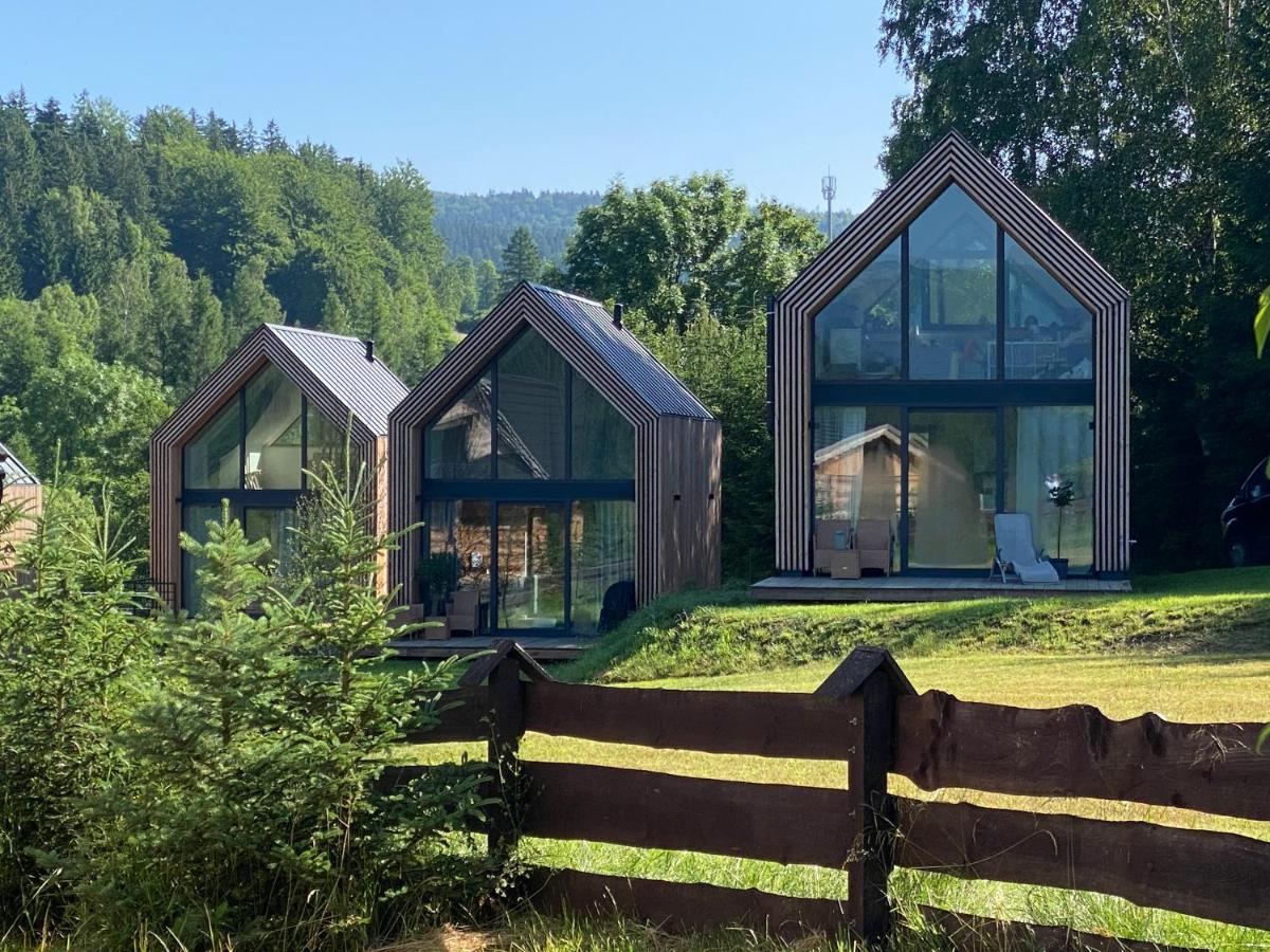 Domki Pod Lasem - Domek Brzozowy Строне-Шльонське Екстер'єр фото