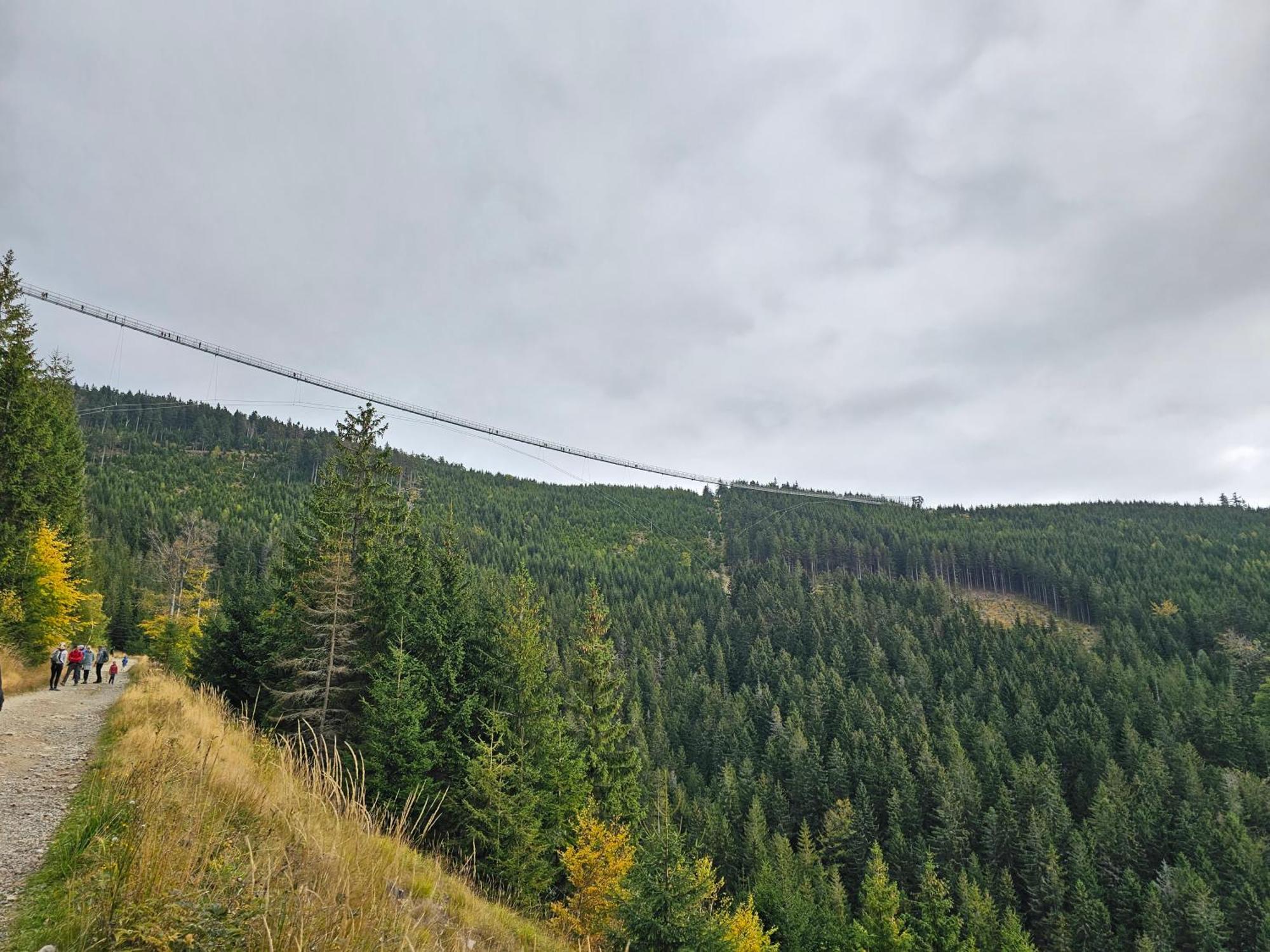 Domki Pod Lasem - Domek Brzozowy Строне-Шльонське Екстер'єр фото